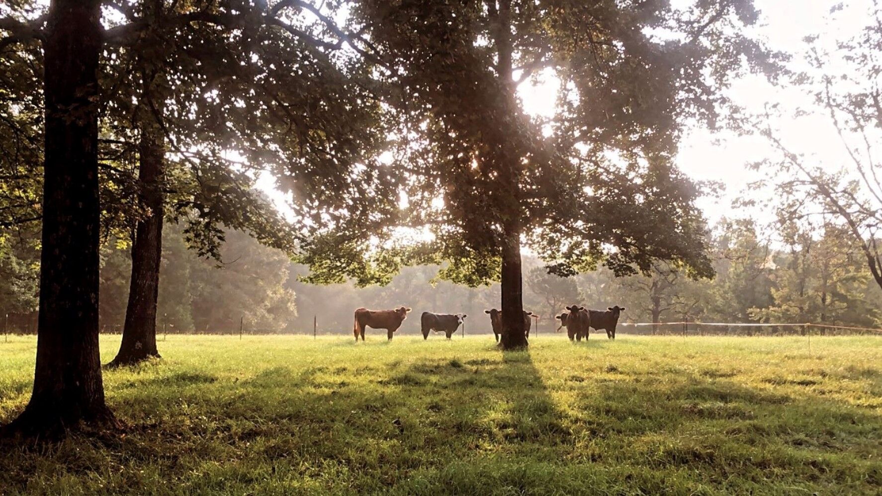 High Hope Farm